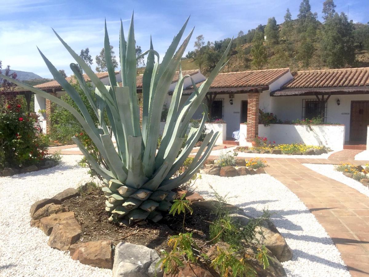 Bed and Breakfast Cortijo Valverde Álora Zewnętrze zdjęcie